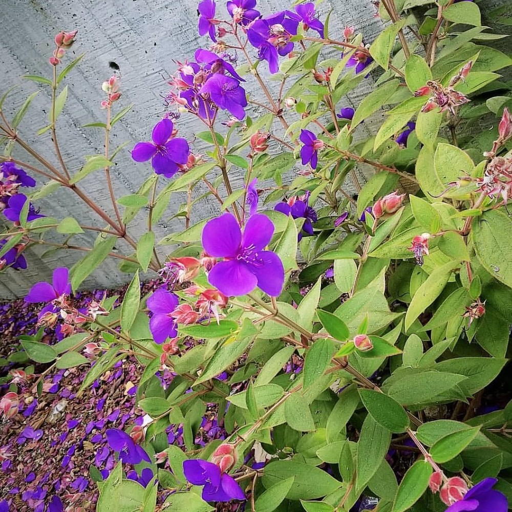 Meet your Posher, Motz